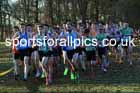 Senior mens 2025 Northern Cross Country Champs, Tatton Park, Knutsford, Cheshire. Photo: David T. Hewitson/Sports for All Pics